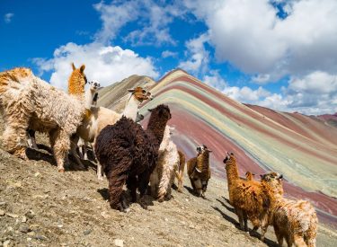 Tour a la Montaña de Colores - 6