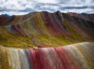 Palcoyo Montaña de Colores Full Day