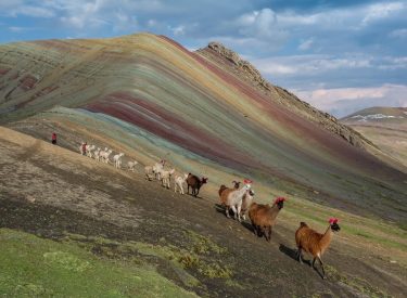 Palcoyo Montaña de Colores Full Day