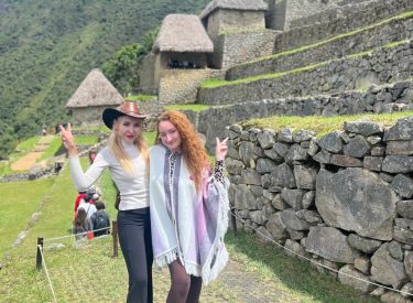 WhatsApp Image 2026-01-31 at 15.11.17